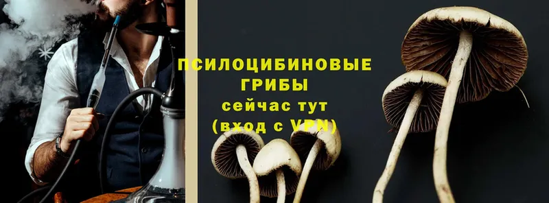 shop Telegram  купить наркотик  Лихославль  Галлюциногенные грибы Psilocybe  mega зеркало 